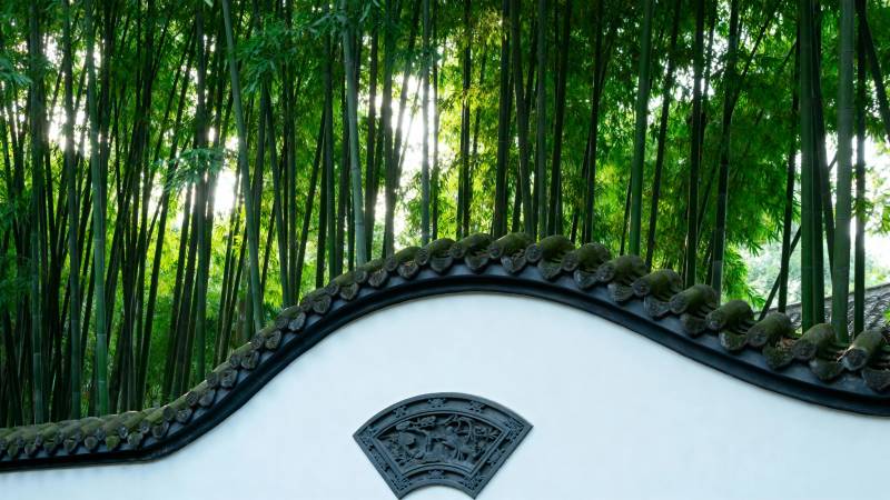 竹影白墙 古韵悠然图片
