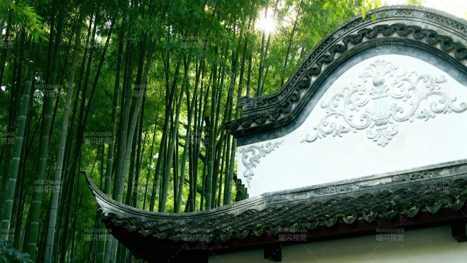 竹影掩白墙 古韵悠然图片