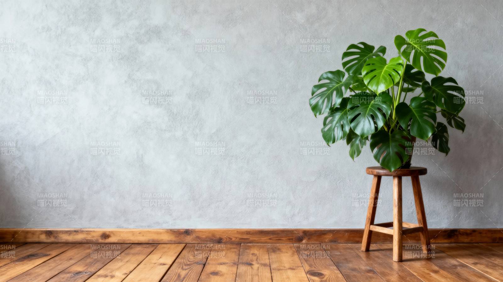 绿植点缀简约空间图片