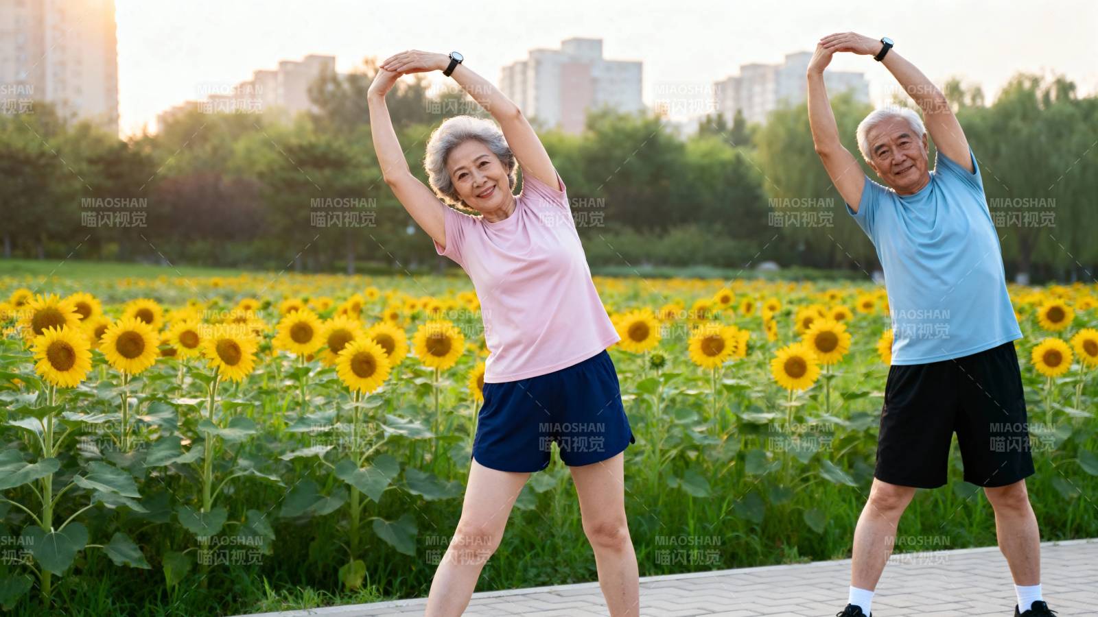 夕阳下 银发夫妇向日葵旁晨练图片