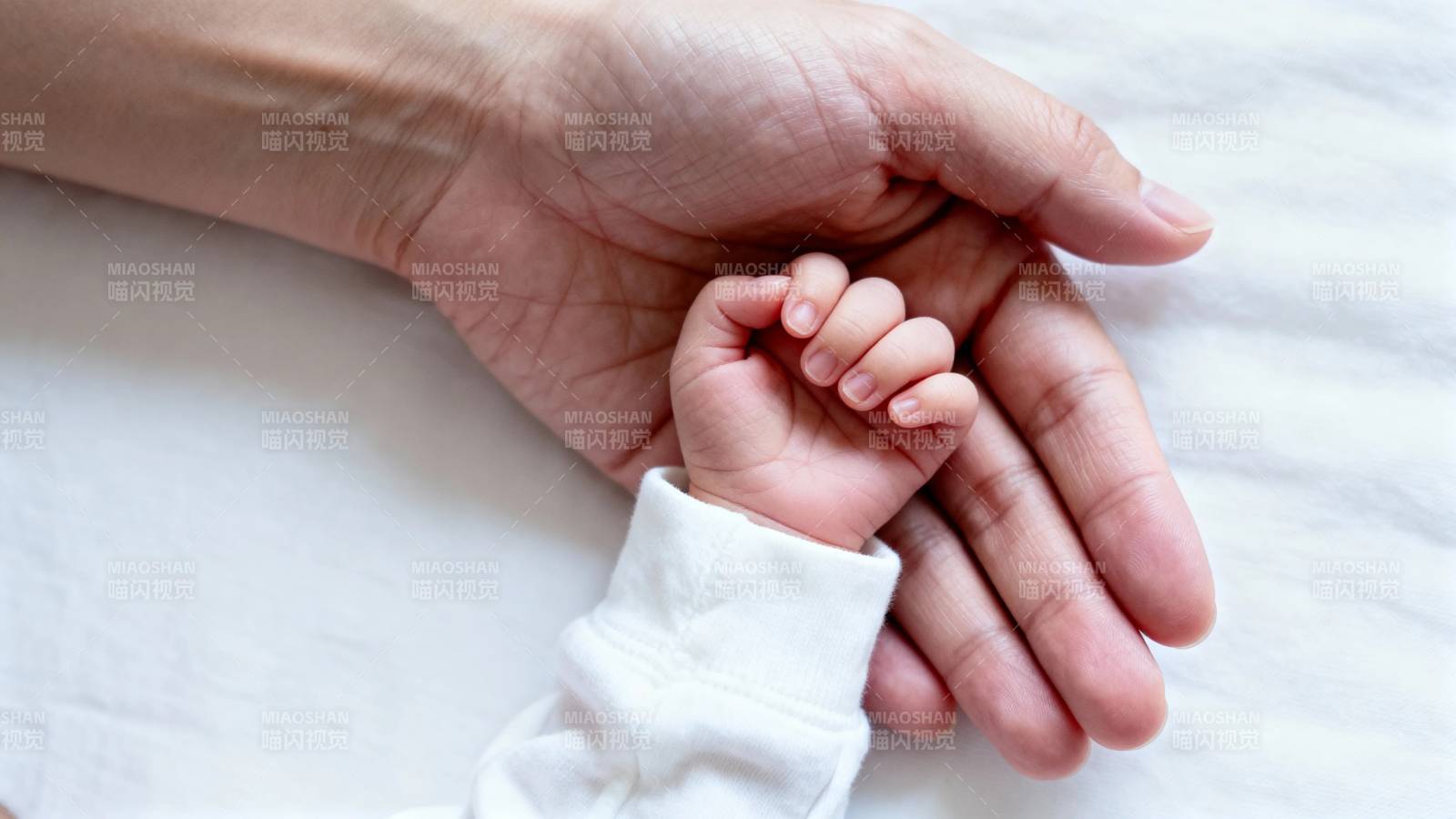 小手牵大手 温暖相伴图片