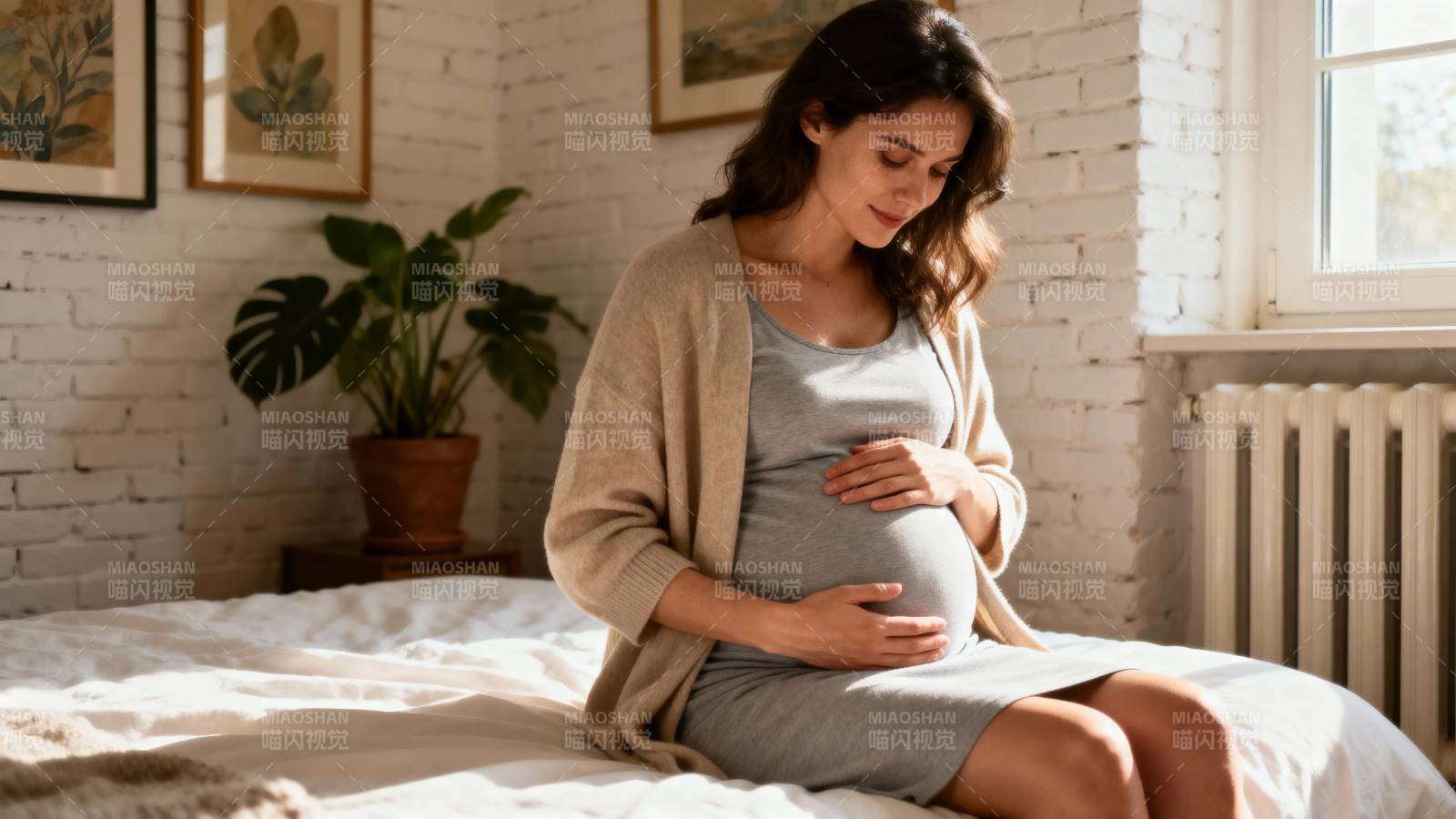 孕妻轻抚腹 静享晨光暖图片