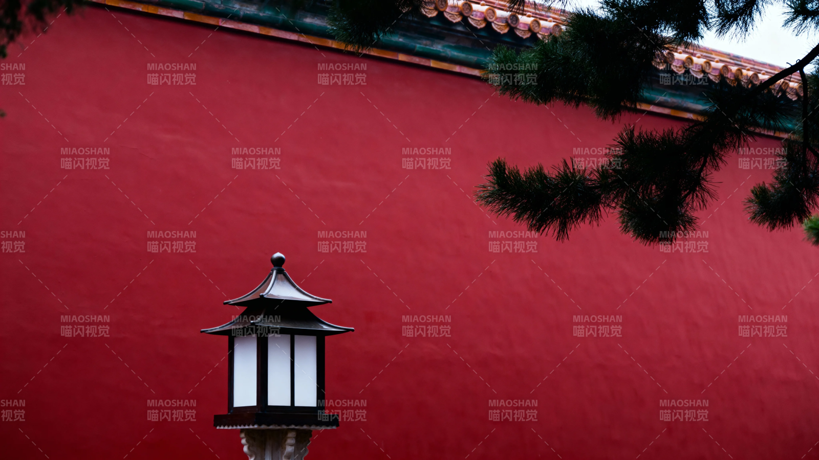红墙松影古灯静图片
