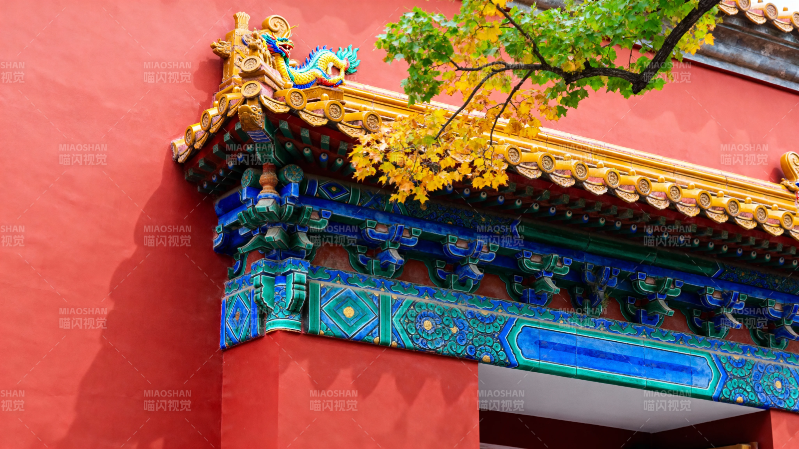 红墙金瓦秋叶映古建图片