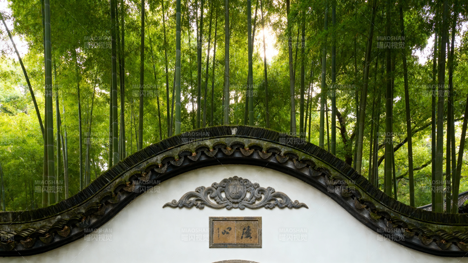 竹影掩映古墙幽图片