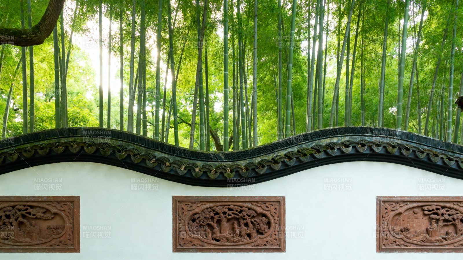 竹影白墙 古韵悠然图片