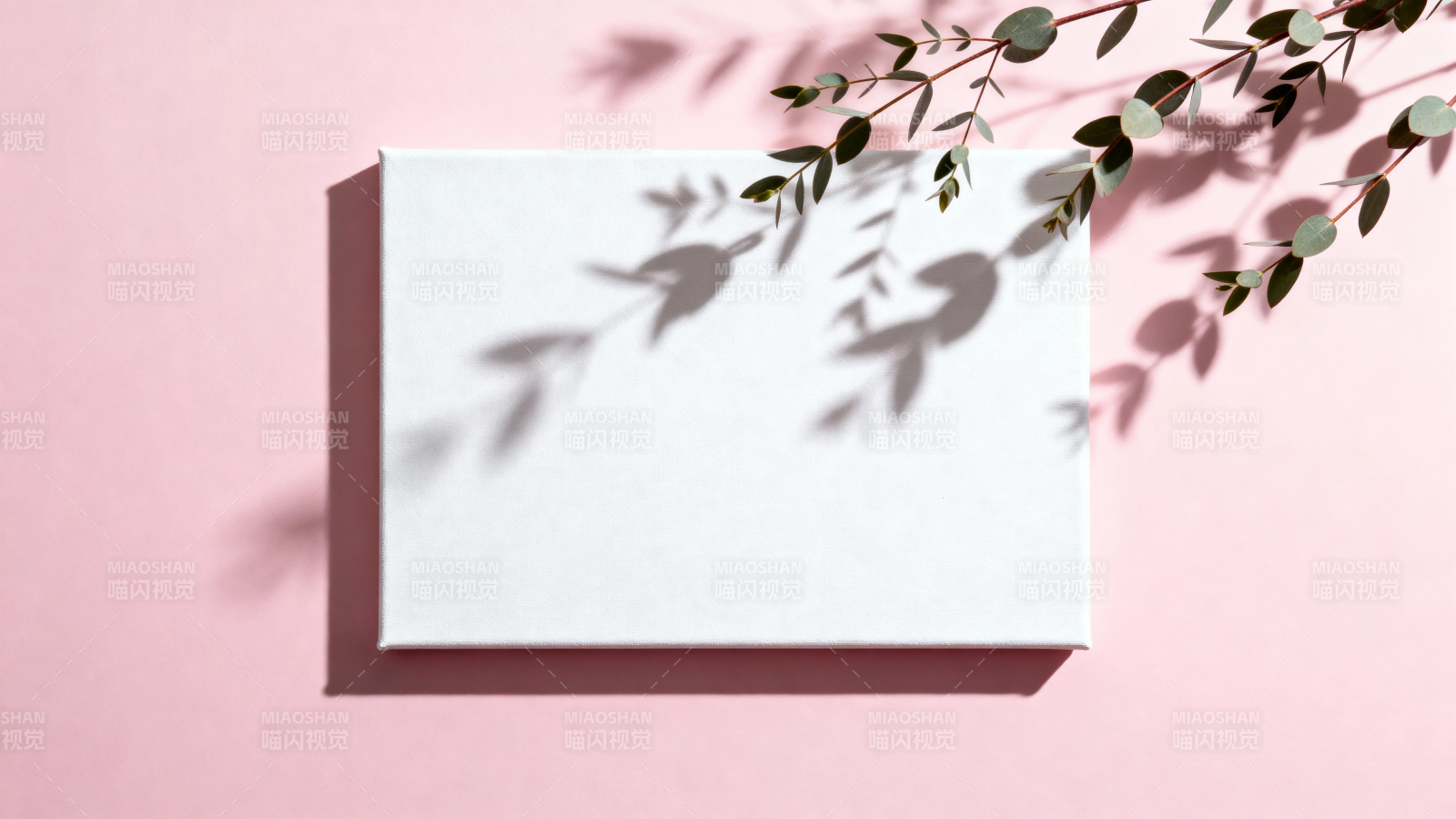 粉墙白画框 叶影轻拂过图片