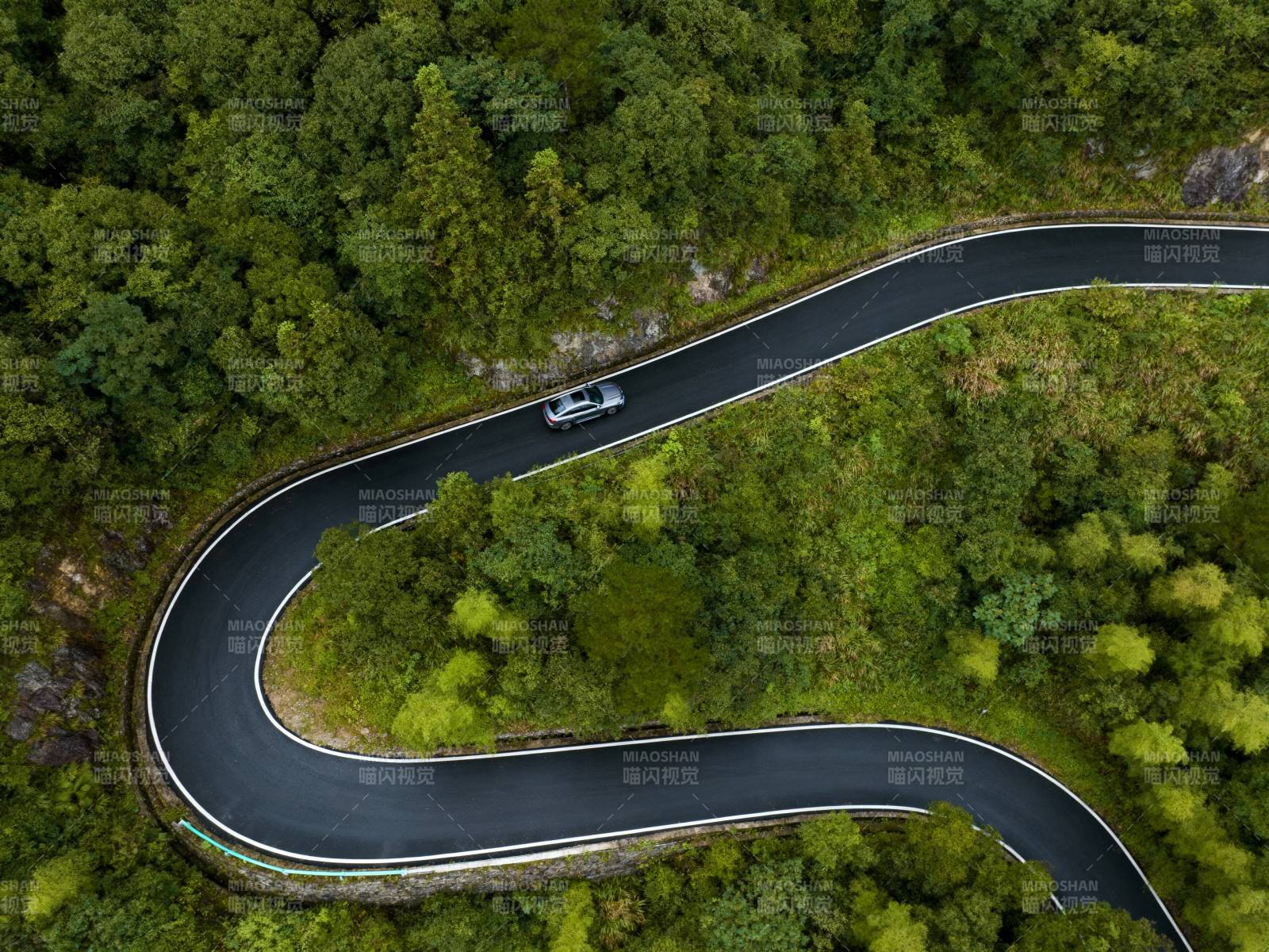 山间弯道 车行绿海图片