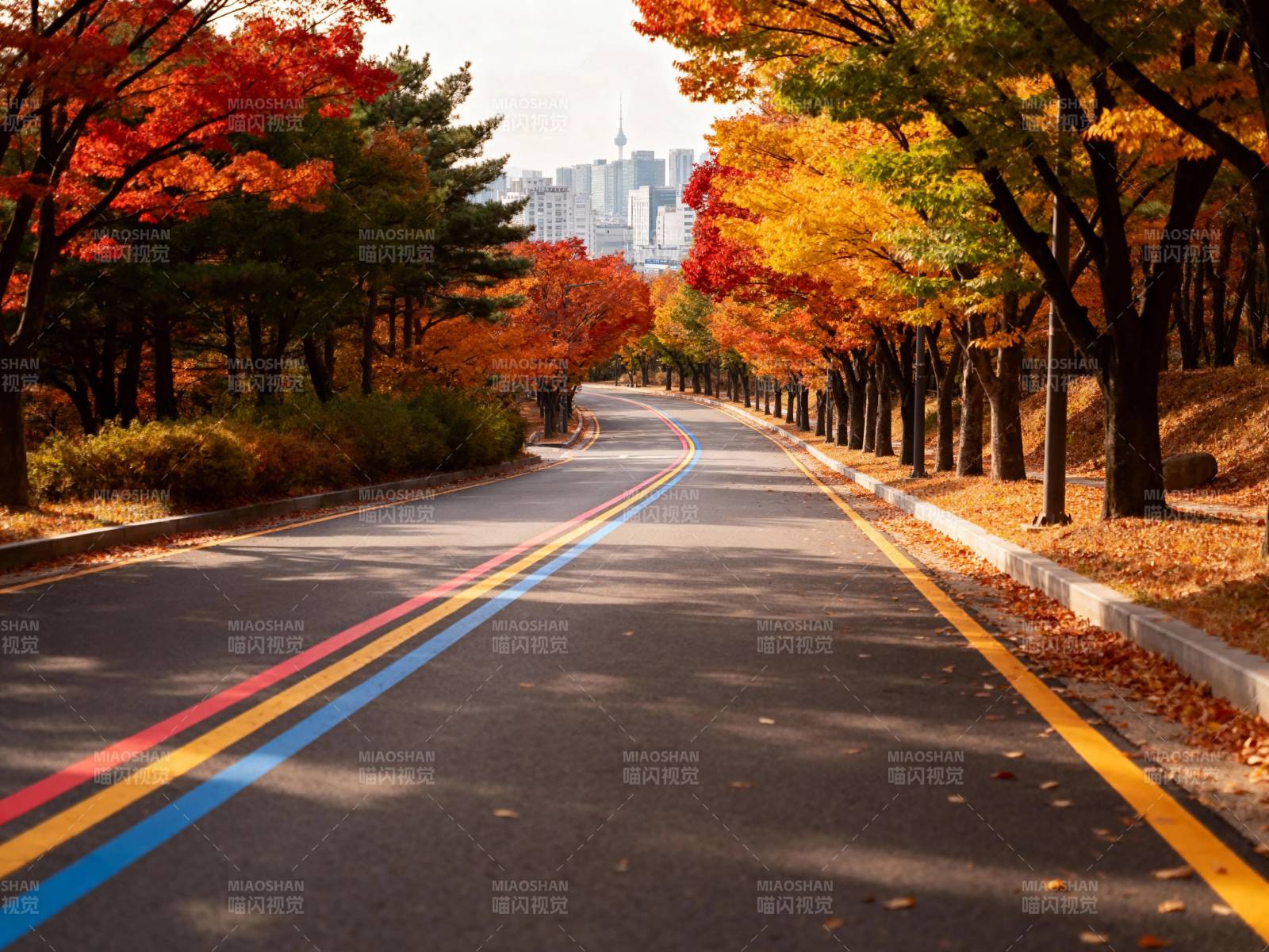 秋色大道 城市远景如画图片