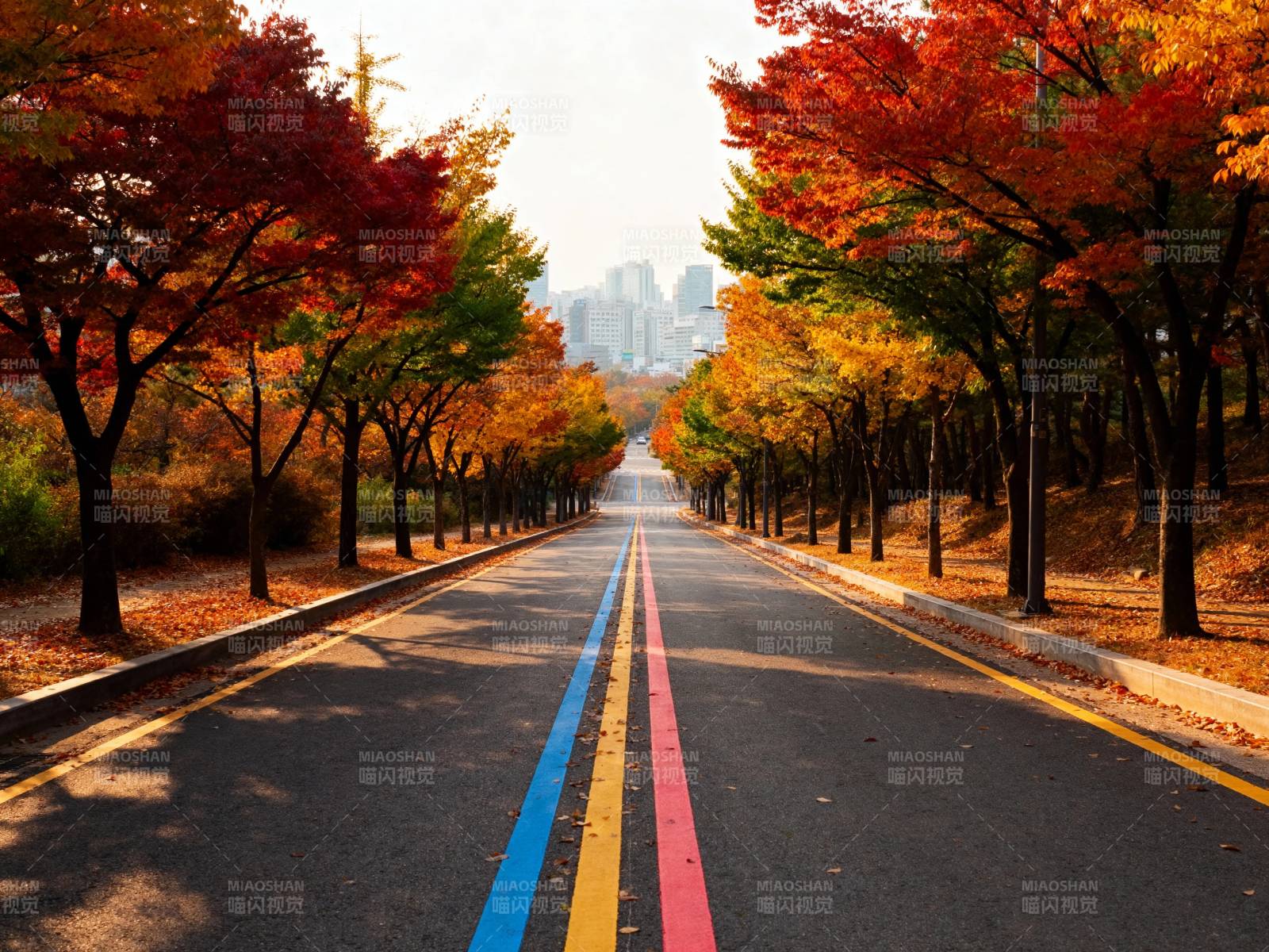 秋色大道 彩线引向远方城图片