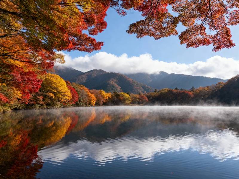 秋湖映彩林 雾绕山如画图片
