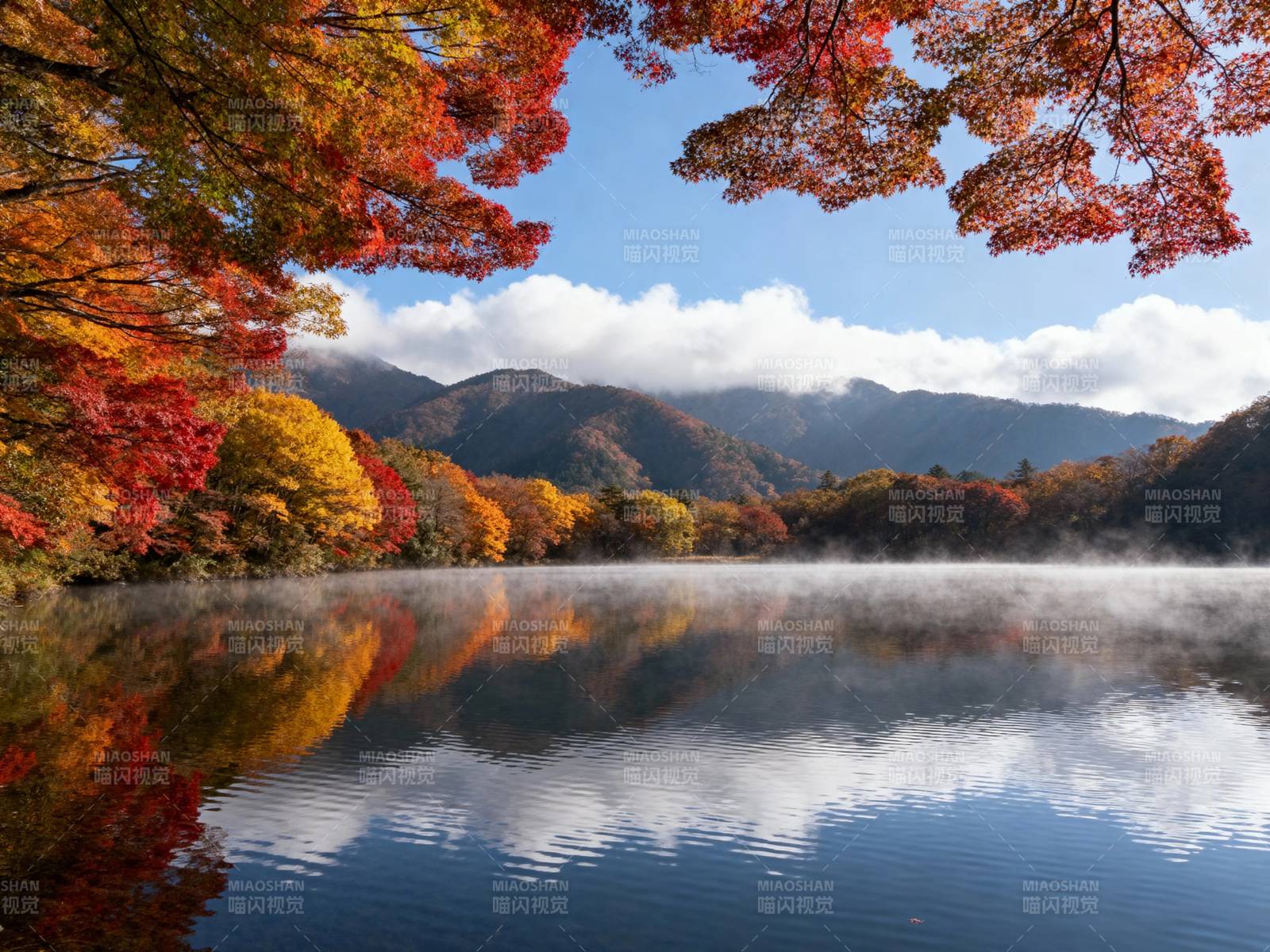 秋湖映彩林 雾绕山如画图片