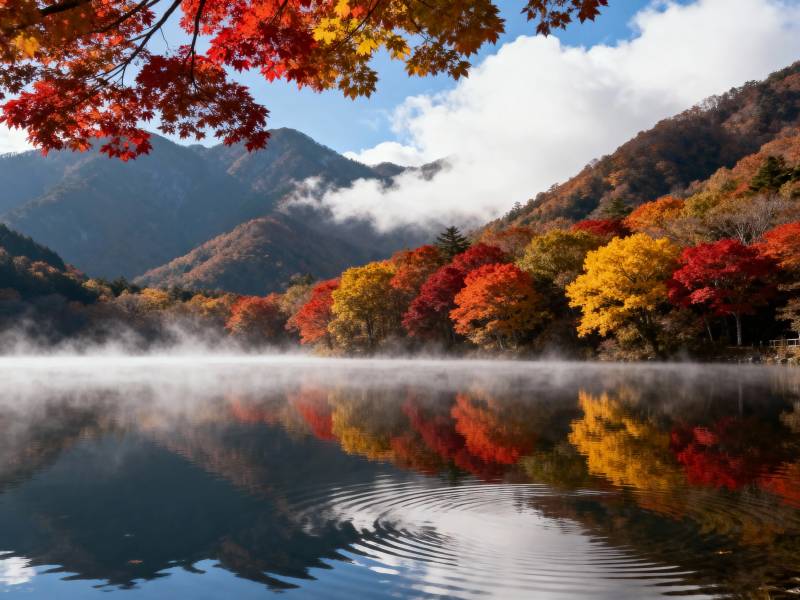 秋湖彩叶映山雾图片