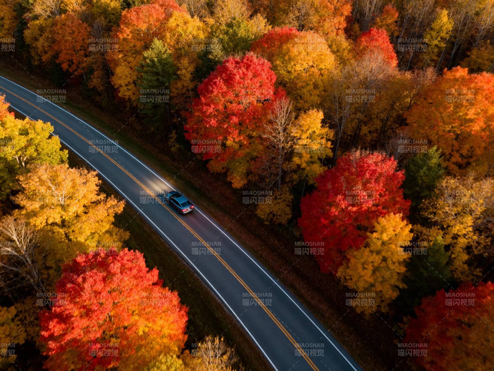 秋色公路 车行画中图片