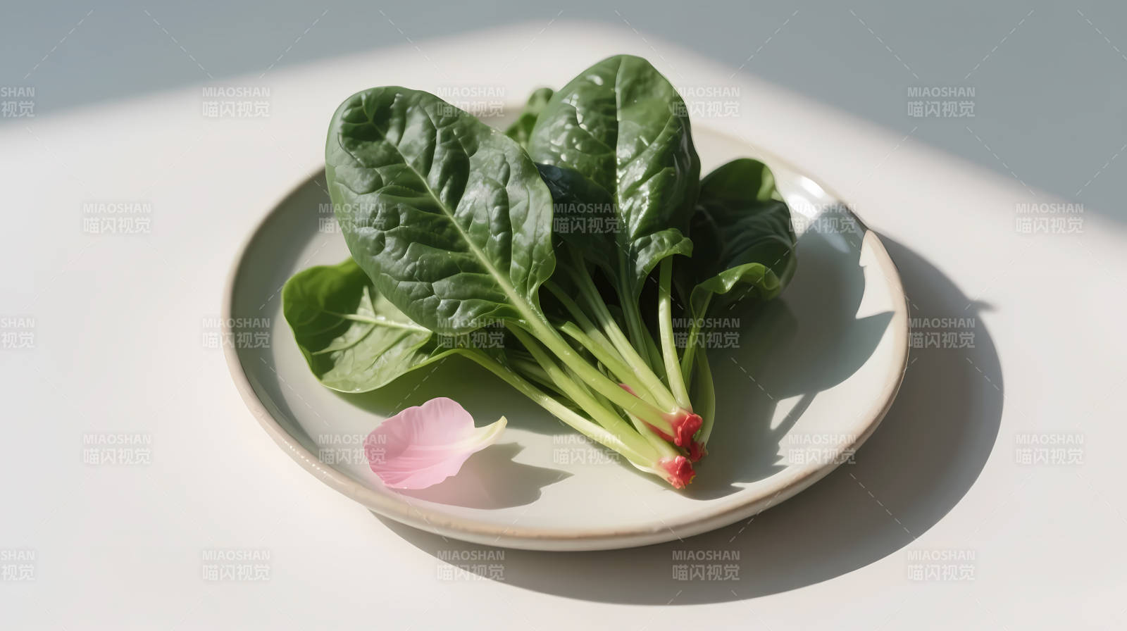 菠菜配花瓣 清新盘中景图片