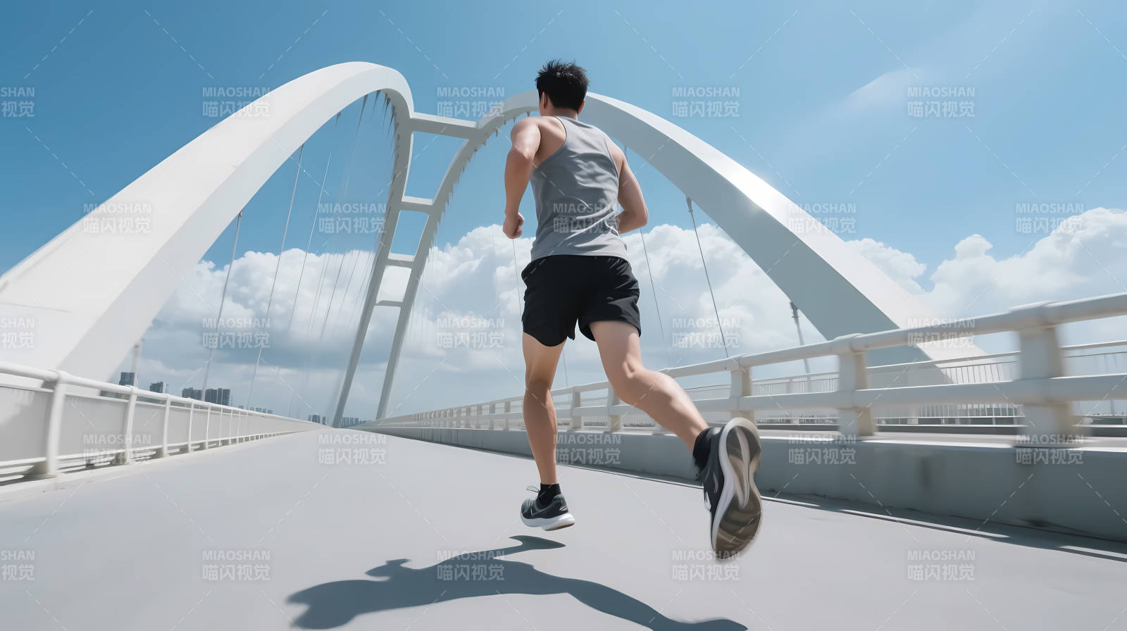 桥上奔跑 追风逐日图片