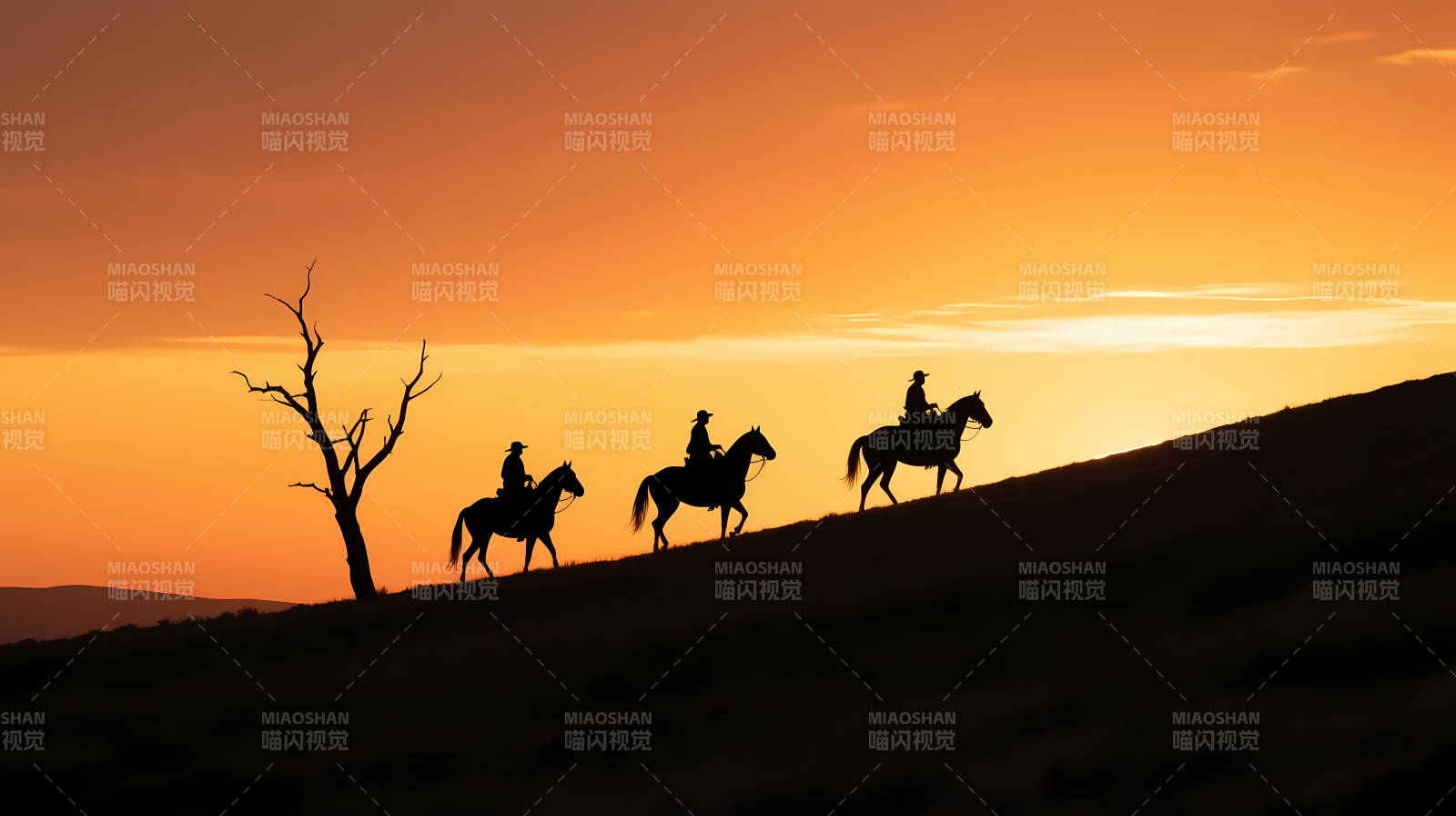 夕阳下三骑 silhouette 行图片