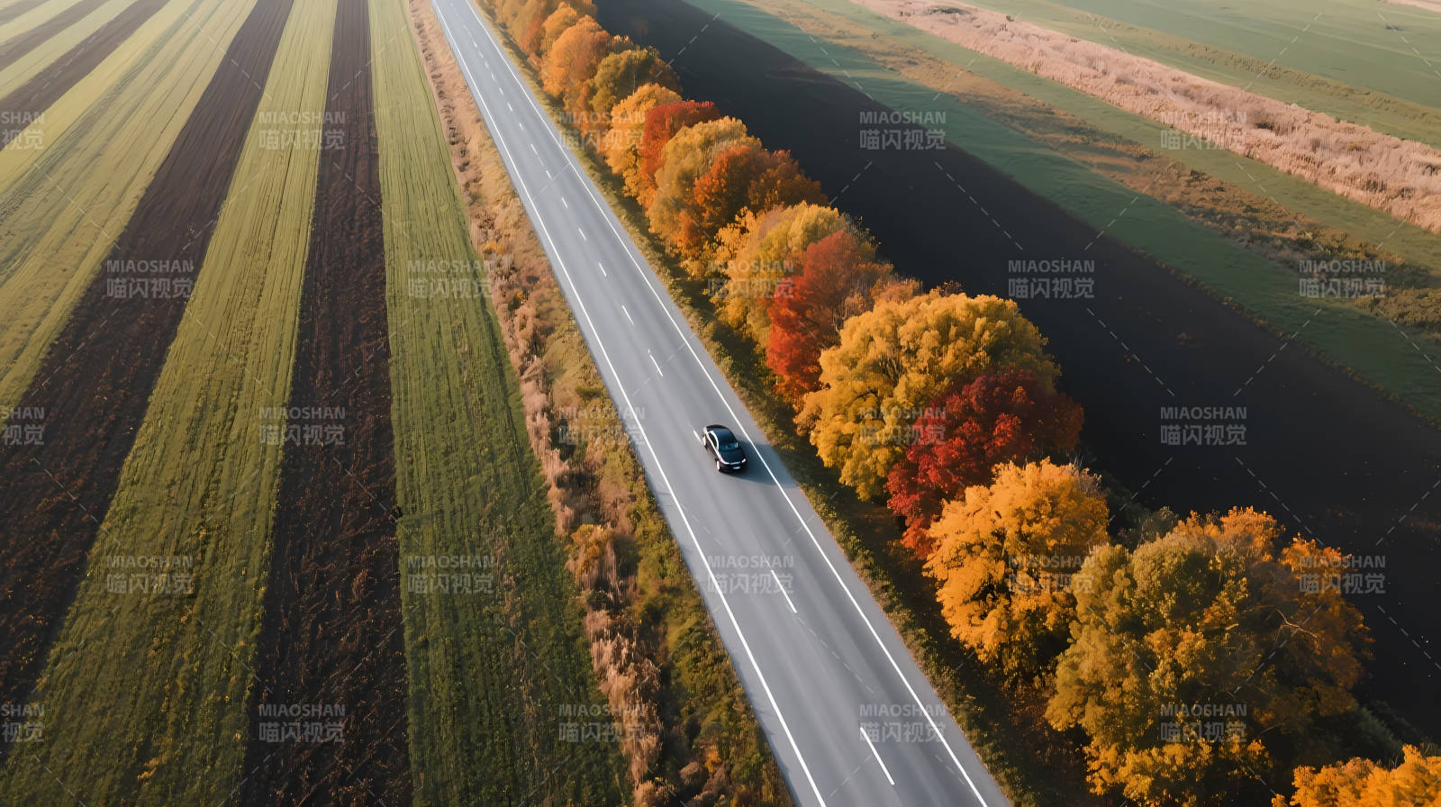 秋日公路 车行彩林间图片
