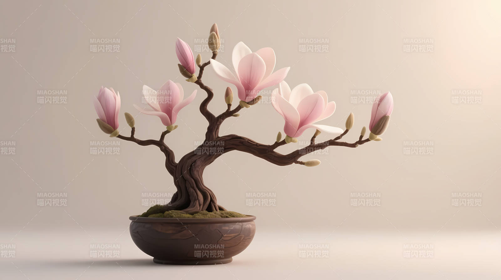 玉兰盆景 粉花绽放图片