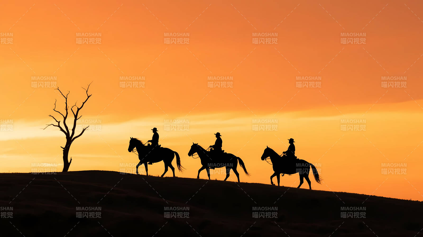 夕阳下三骑 silhouette图片