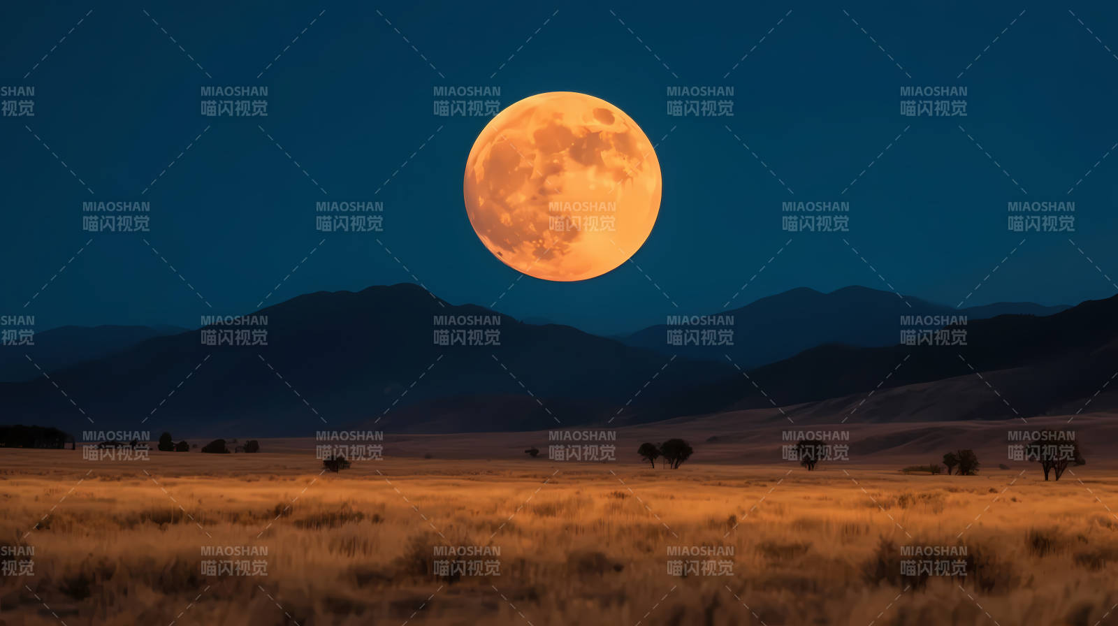 月照荒野 山静夜阑图片