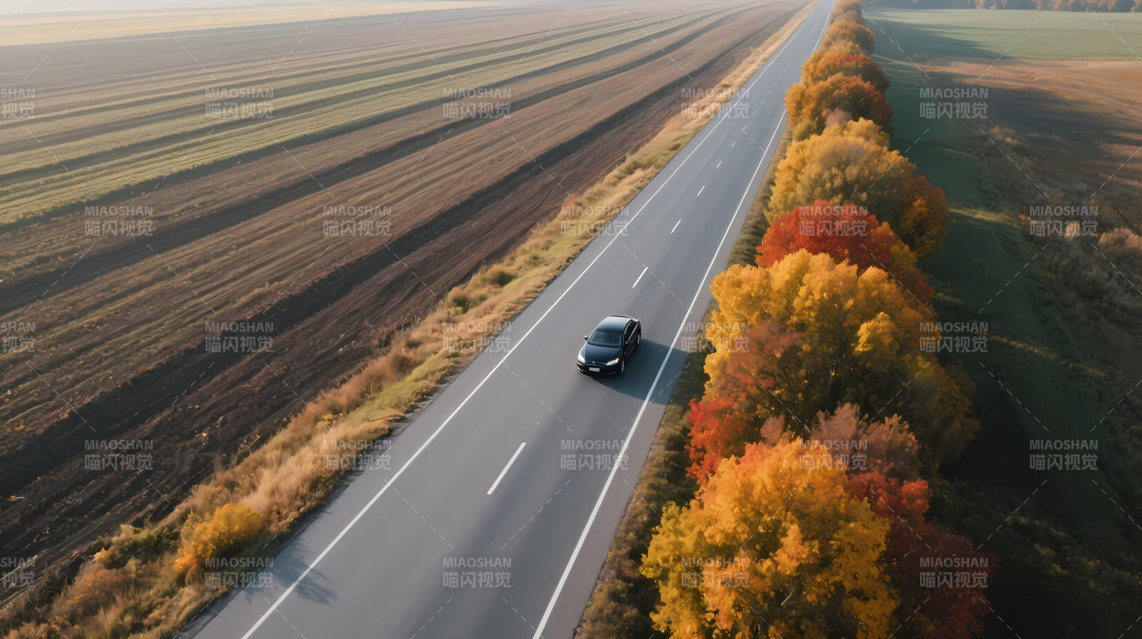 秋日公路 车行彩林间图片