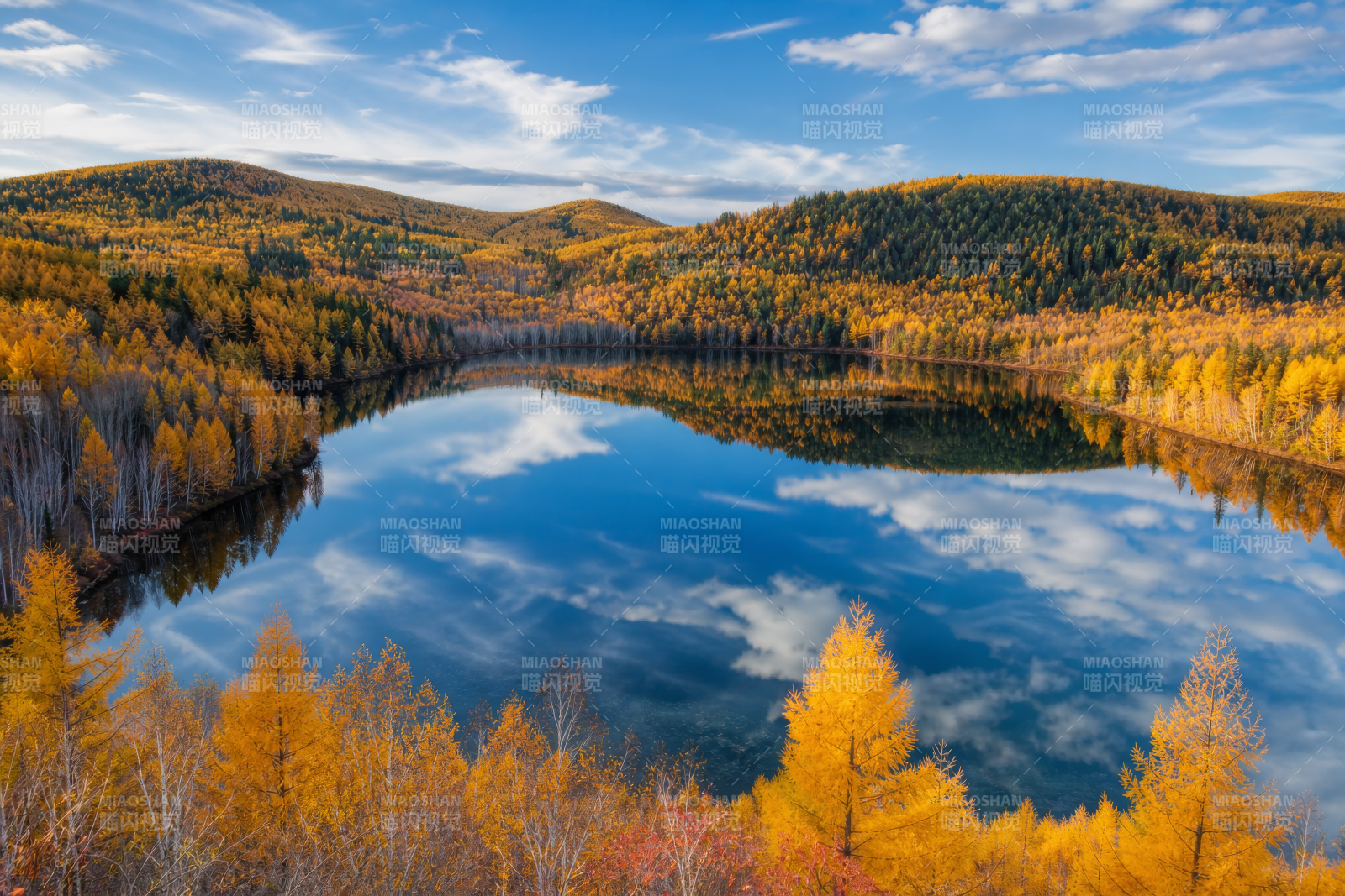 秋湖映山 金林倒影如画图片