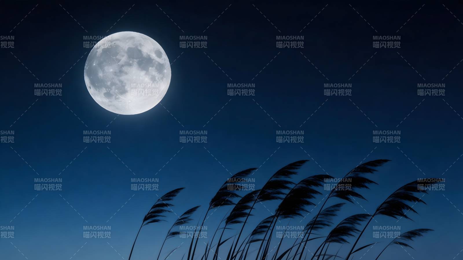 月夜芦苇随风舞图片