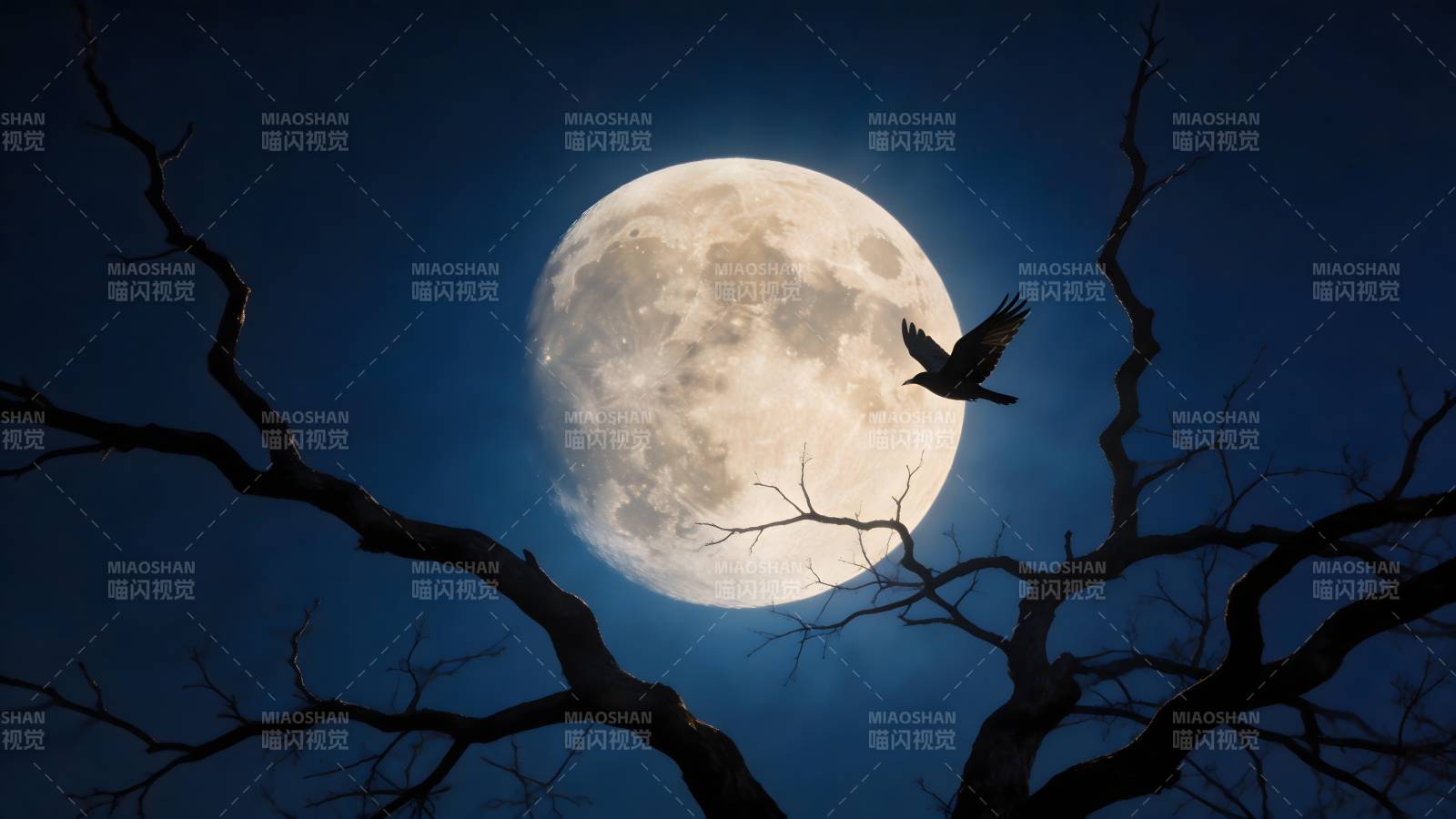 月夜鸦飞枯枝影图片
