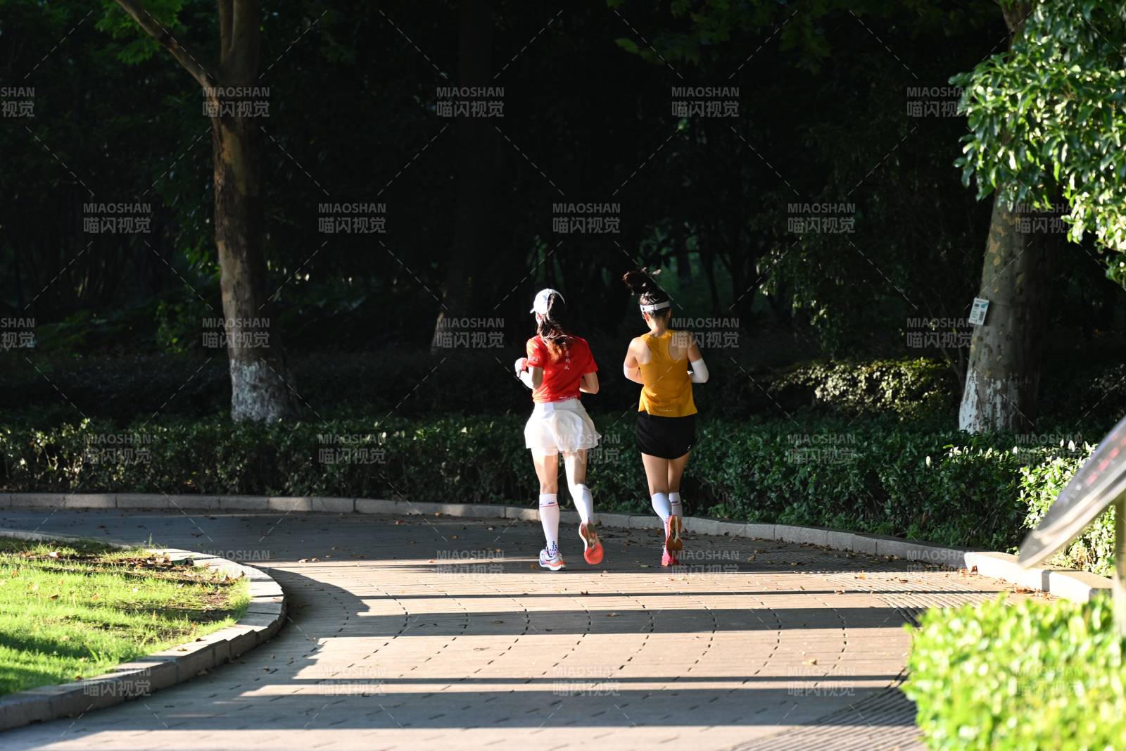 公园晨跑二人组图片
