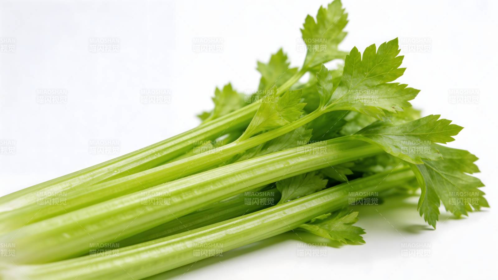 新鲜翠绿芹菜束图片