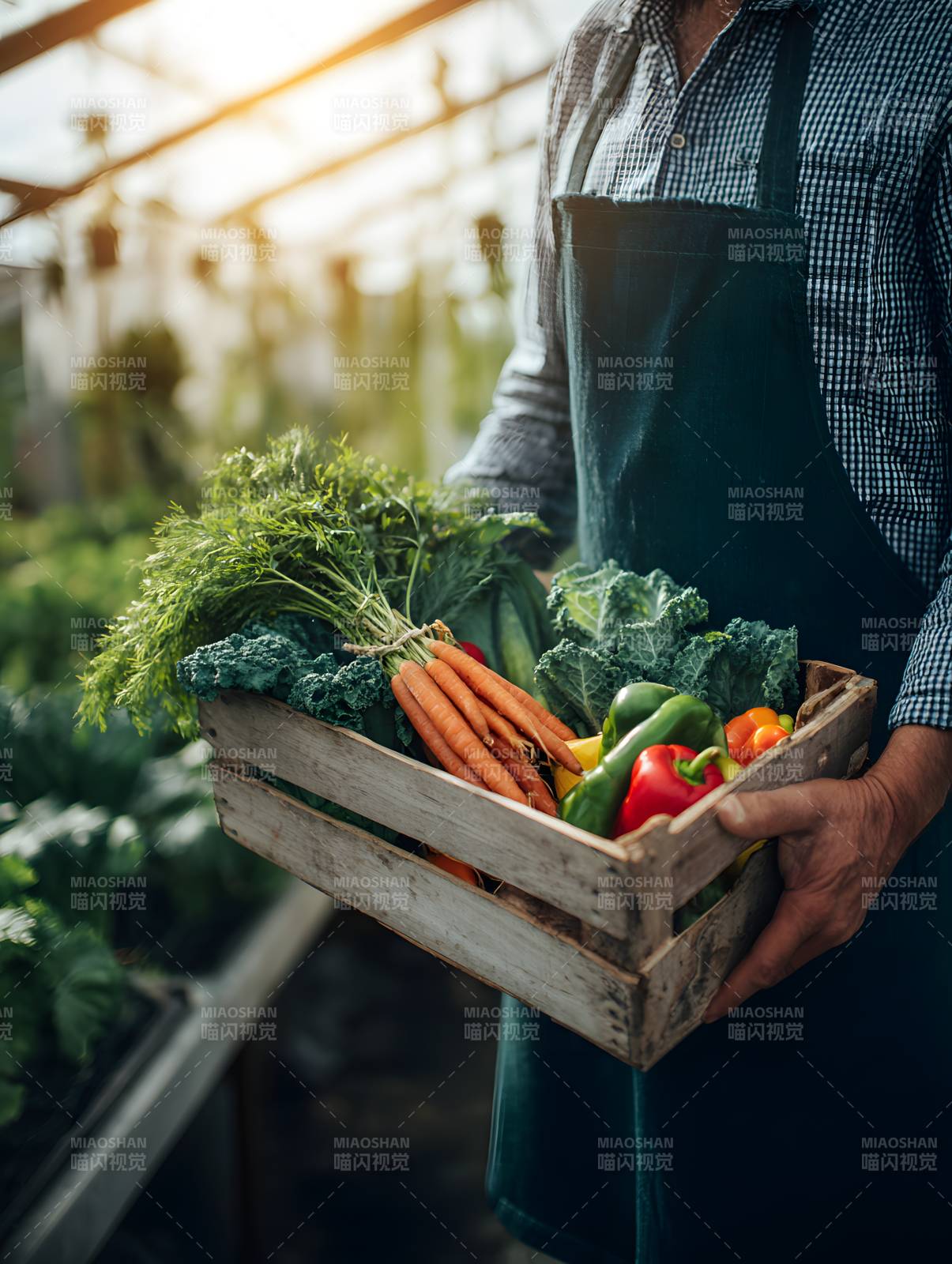 温室农夫捧鲜蔬篮图片