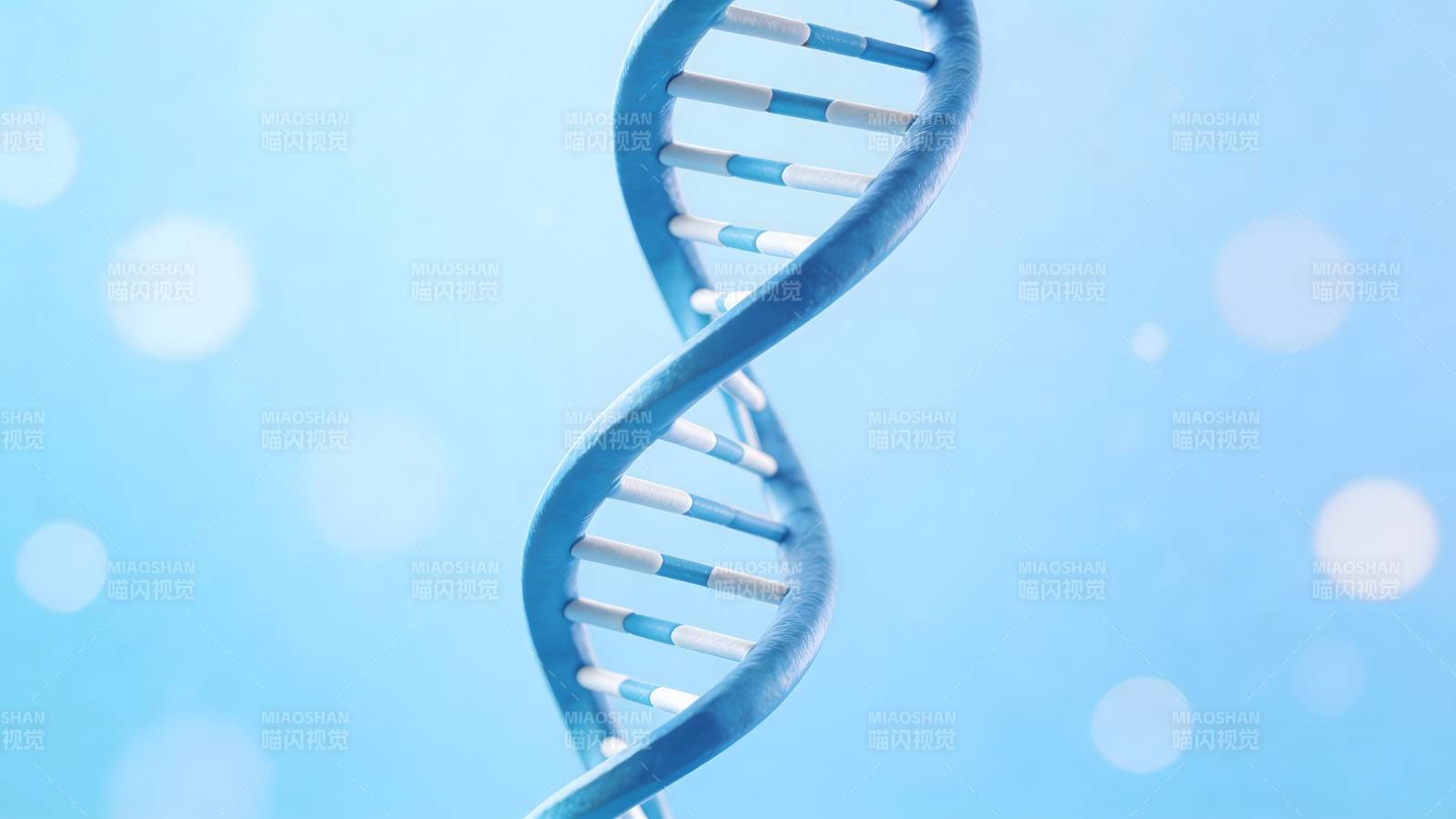 DNA双螺旋结构特写图片