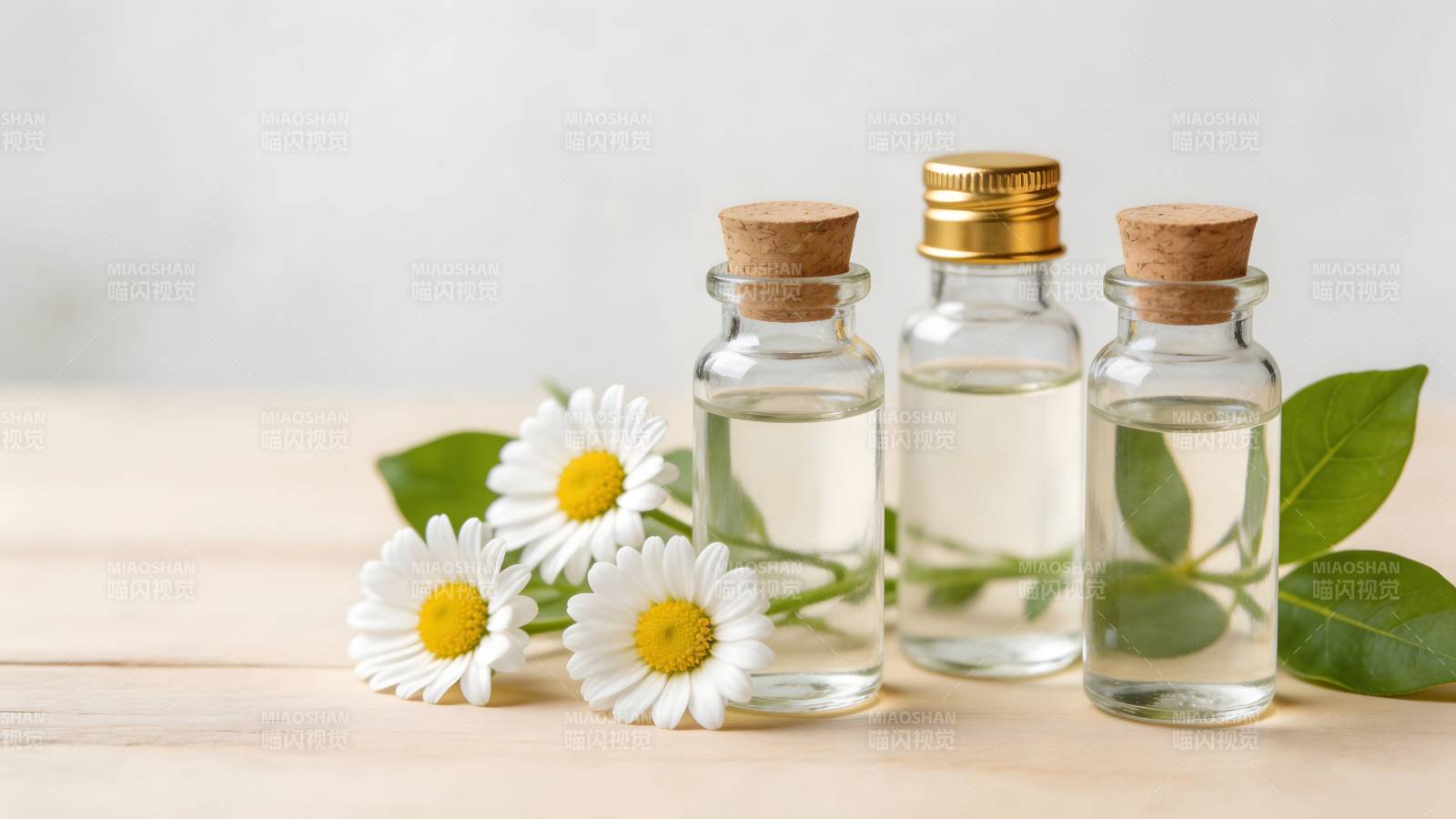 精油与雏菊 自然疗愈之美图片