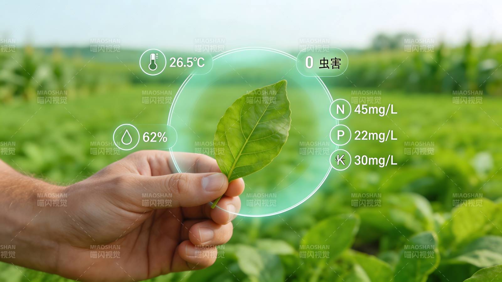 智慧农业 叶片数据监测图片
