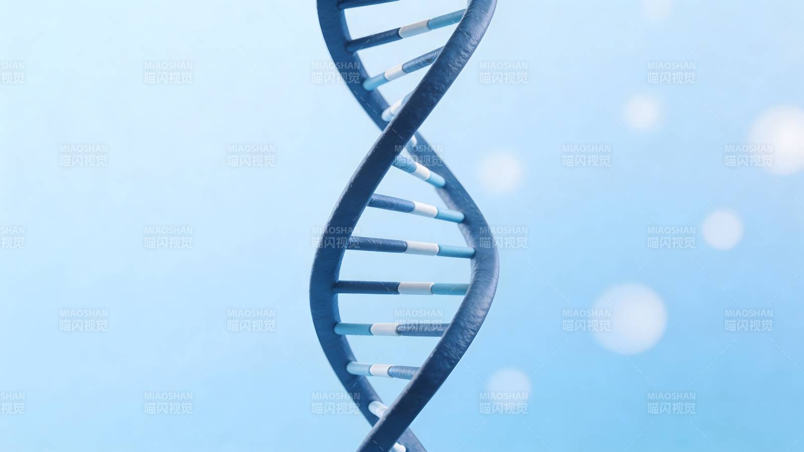 DNA双螺旋结构特写图片