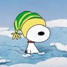 用户头像-小牢大